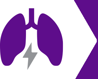 Icon of lungs with callout: Upper respiratory infection did not impact the absorption or action of AFREZZA.